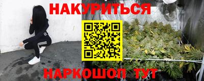 spice Пенза