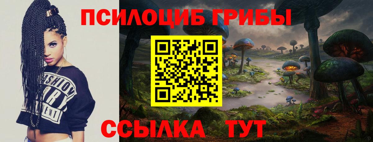 Галлюциногенные грибы Psilocybe  Вход с VPN  Балашиха 