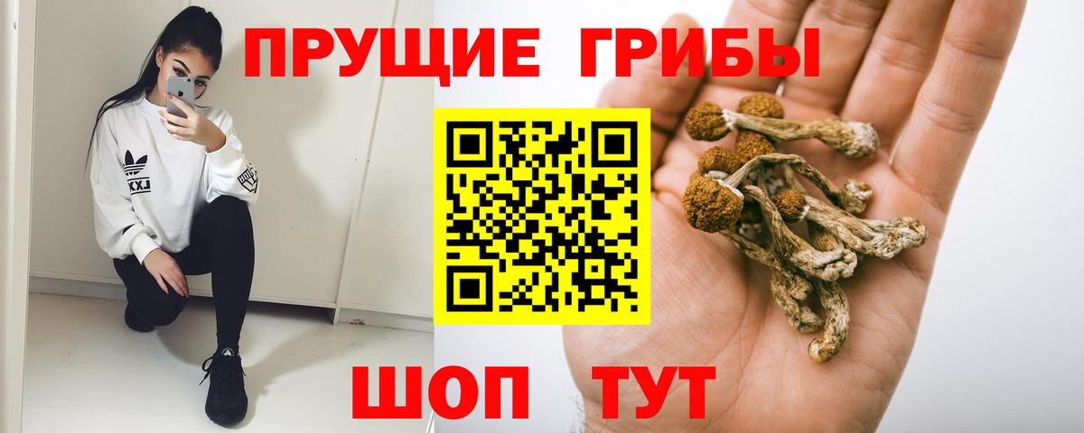 Галлюциногенные грибы прущие грибы Балашиха